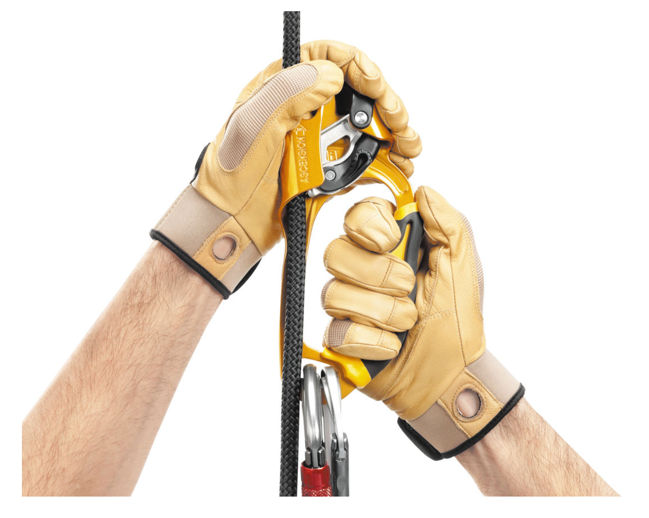 PETZL - ASCENSION LEFT HANDED