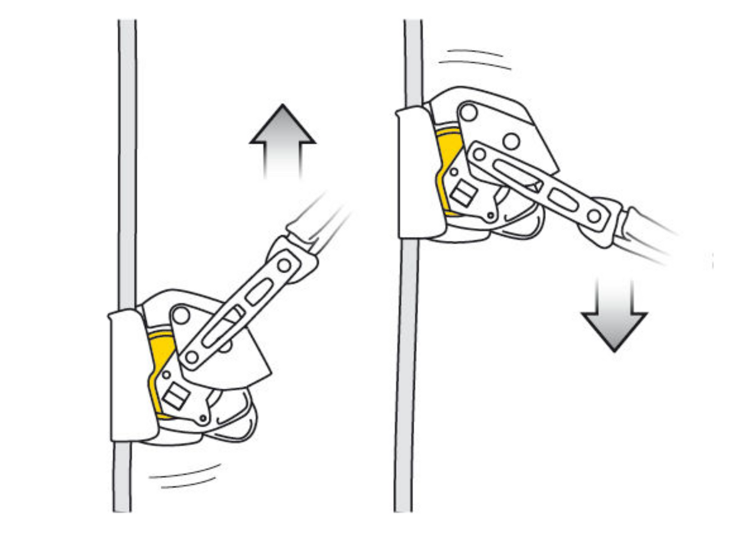 PETZL - ASAP LOCK + 20CM ASAP'SORBER
