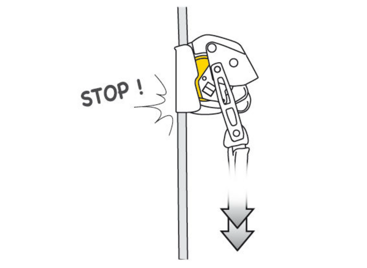 PETZL - ASAP LOCK + 20CM ASAP'SORBER