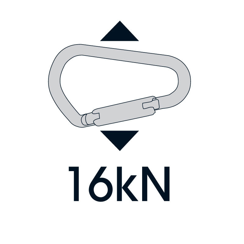 Aion - Triple Lock D Carabiner