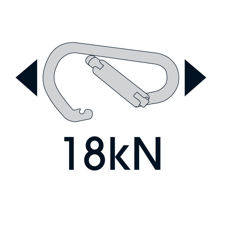 Aion - Triple Lock D Carabiner