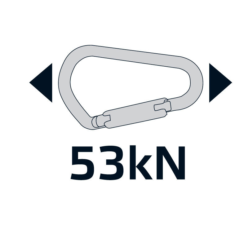 Aion - Triple Lock D Carabiner